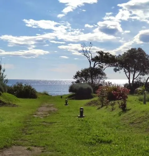 Apartment T3 - Acces Direct Dans Avec Piscine Poggio Mezzana